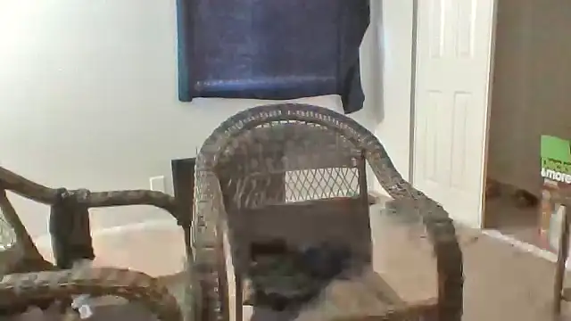 Fenrir2330 webcam