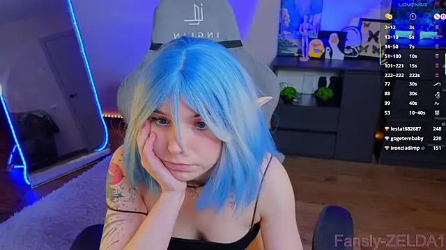 zelda_1 webcam