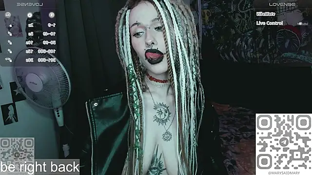 say_mary webcam