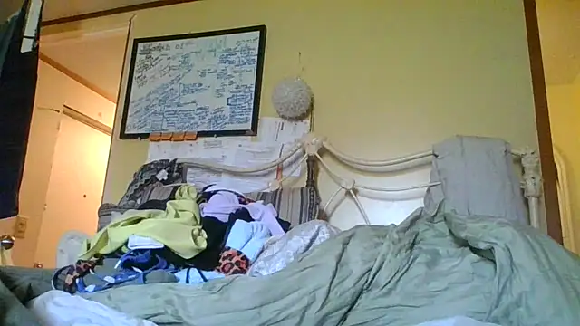 raybo715 webcam