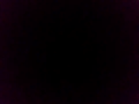 Siegfri3d__ webcam