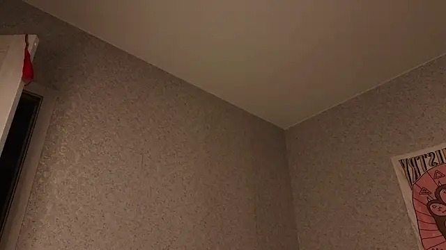 Aurisinst webcam