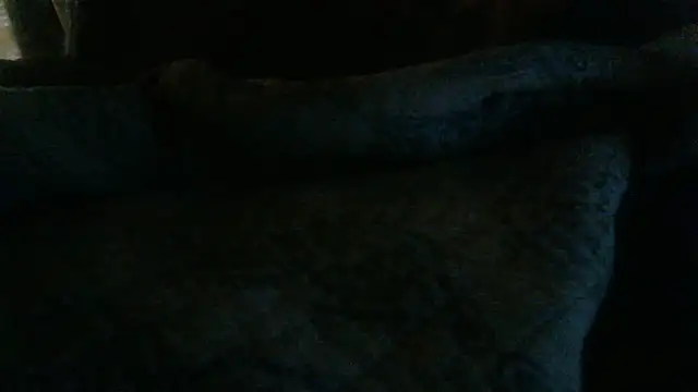 LilDaddyX webcam