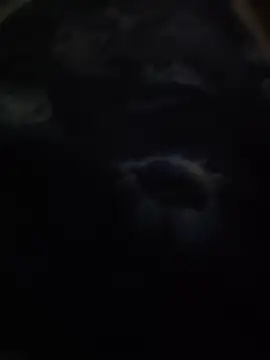 Silent_lord27 webcam