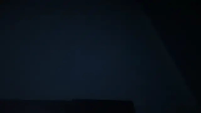 KungFuPanda001 webcam