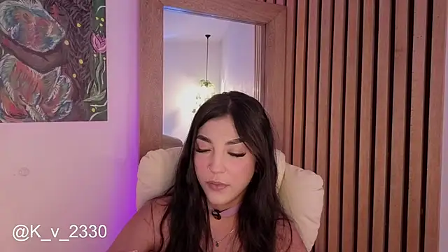 sofiesoft webcam