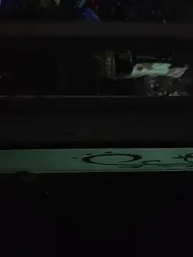 alshaynaa webcam