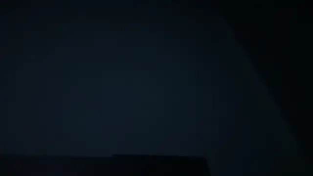 KungFuPanda001 webcam