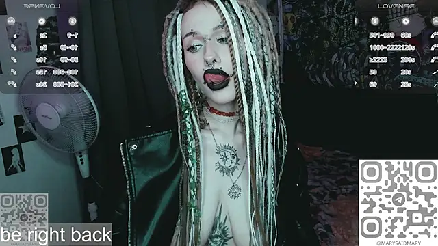 say_mary webcam