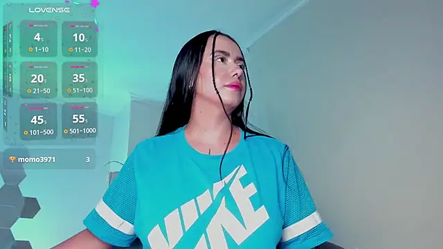 Samispank webcam