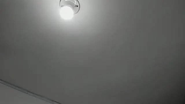 honeyhtx webcam