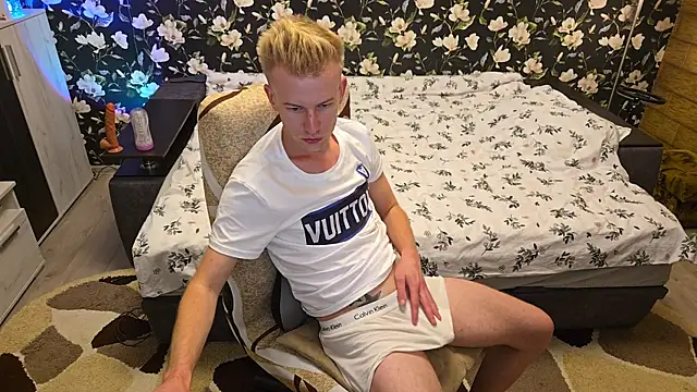 Vuitton webcam