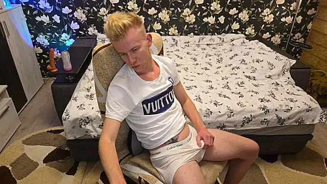 Vuitton webcam