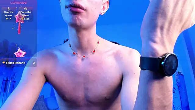 NovaaWheler webcam