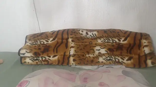 BeautyQueenX22 webcam