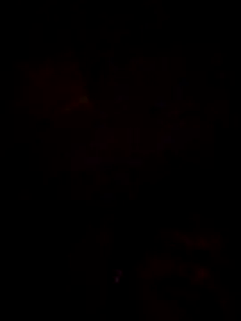 rahul42070 webcam