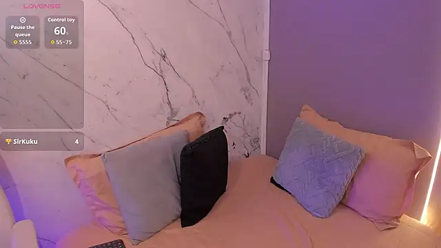 Veravantemp webcam