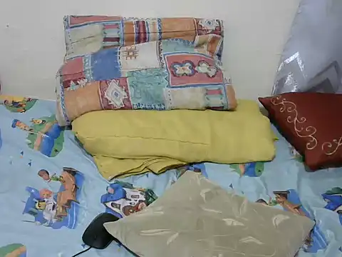 playfullnova webcam