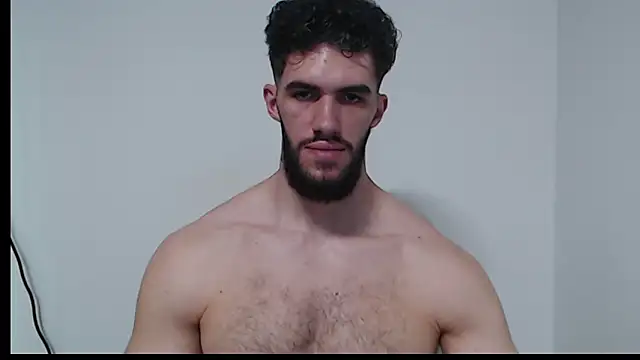 hiddenf webcam