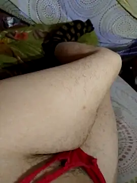 Almas-arabic webcam