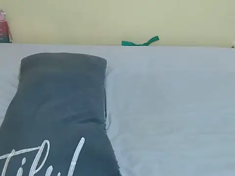 lynnsee webcam