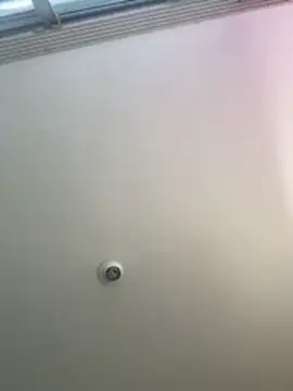 MegaanRouse_ webcam