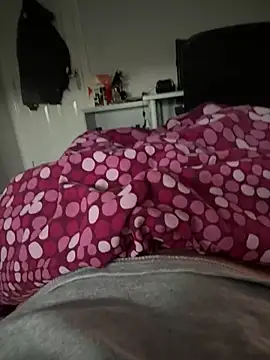 BigDiikk webcam