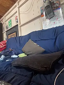 Shankortiz webcam