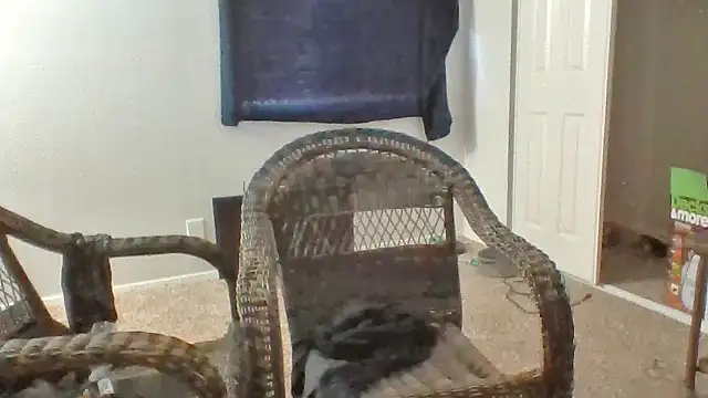 Fenrir2330 webcam