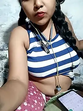 DESI-DOLLL webcam