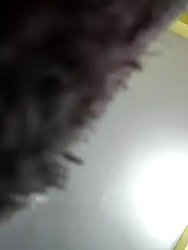 Minakshi-Gi webcam