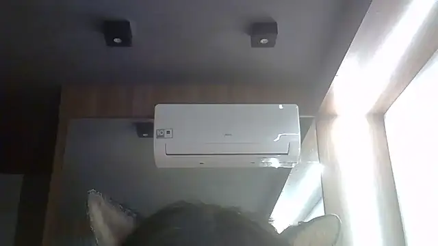 SkinnyKitten webcam