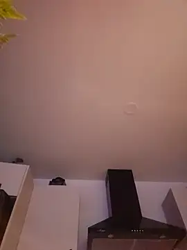 LilyOrion webcam