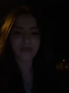 AriaAdda webcam