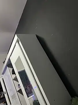 Sanicrt webcam
