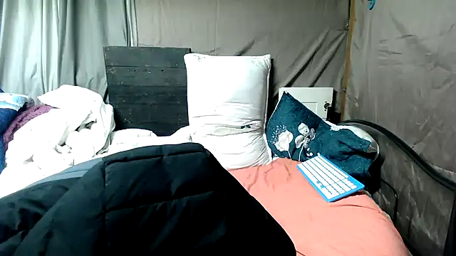 Camodick webcam
