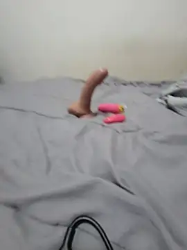 Smoors19 webcam