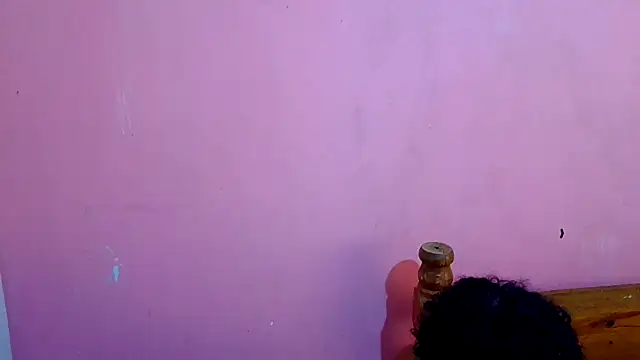 Aronbbc webcam