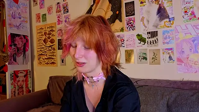 KandraCruser webcam