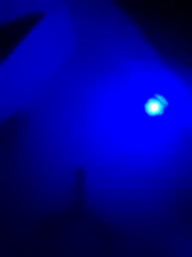 Itsabhinav12 webcam