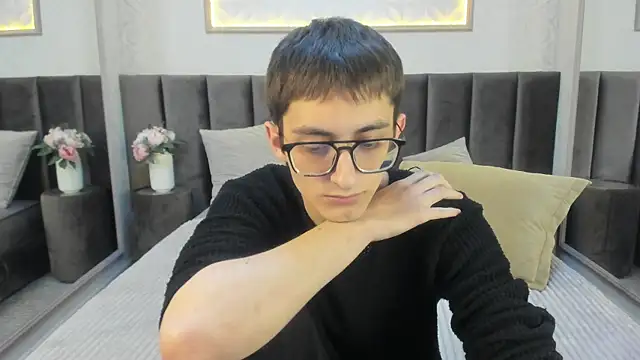 RonBevs webcam
