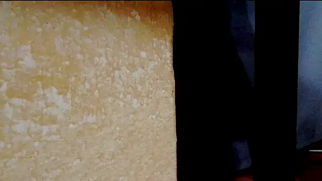 Monicamaxwell webcam