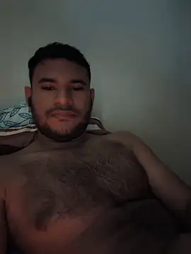 Leonargg webcam
