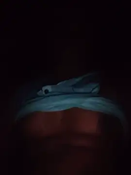 victory_boy webcam