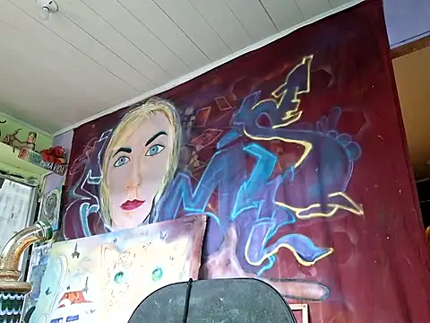 Toycockhot webcam
