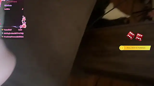 Elinatiranda webcam