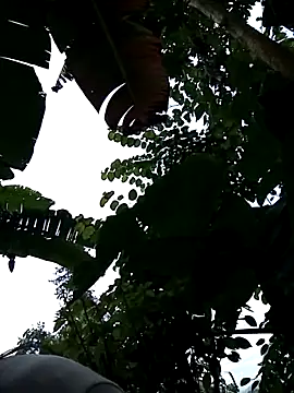 Xemra4040 webcam