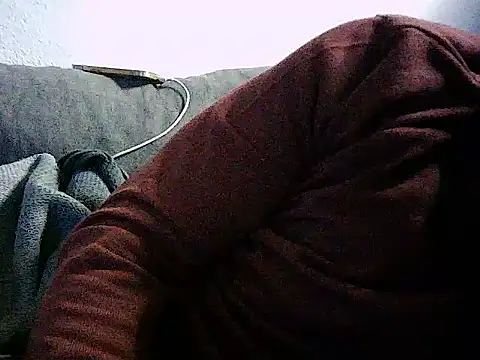 dogfrota webcam