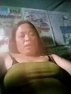 Min-in webcam