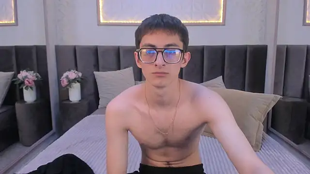 RonBevs webcam